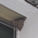 덕산장 모텔 이미지