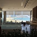 동백섬입구(웨스틴조선비치) | 웨스틴조선 부산 후기, 디럭스 비치킹(오션뷰), 오킴스 메뉴 추천, 조선델리, 동백섬 산책로...
