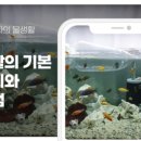 꿈나무 열대어 이미지