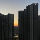 고릴라 | 평택 59타입 아파트 입주청소 후기(고릴라)