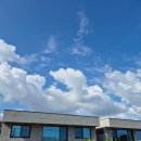 자파리203 이미지