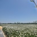 화성파크 | 궁평리가볼만한곳/에코팜테마파크/아이와가볼만한곳/화성캠핑장추천
