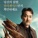 침향전문 경기신문