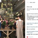 에이브레 이미지