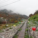 철마길 Daum카페