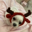 백제동물병원 이미지