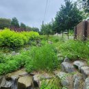 초원 숲속 야영장 이미지