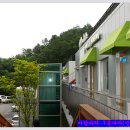 정선에코리조트 이미지