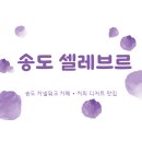 셀레브르 이미지