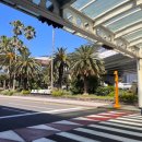 대연목장 | 우리의 ‘네 번째 제주도’🍊