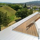 007티켓커피나무 | 경주 오아르미술관 카페｜능뷰 주차편한 경주카페추천 오아르커피 후기