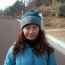 코아청과 이미지