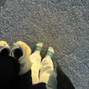 공주 이루다 점핑다이어트 | [이루다 점핑다이어트/충남공주] ”다이어트“와 ”점핑“. 이거 무조건 살 빠지는 조합 아니냐고...