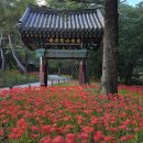 보석사 이미지