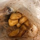 예띠플라워 | [대구 평화떡공방] 봉덕시장 명물, 찹쌀 꿀떡 택배주문 리뷰