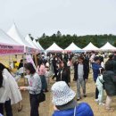 영랑호 카누경기장 이미지