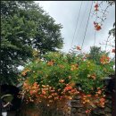 구소석길 이미지