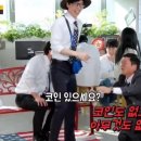 캠핑 고양이 이미지