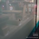 서귀포2청사 이미지