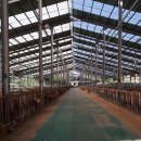 오케이한우농장 이미지