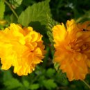 당림미술관 이미지