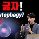 하루 굶으면 하루 금식 굶기 효과 올바른 방법 이미지