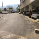 산호동333 이미지