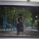 멸망 마지막화 &amp; 정신병동에도 아침이 와요 1화후기 이미지