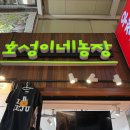매일농장 | [호성이네농장]제주 서귀포매일올레 시장 ‘호성이네 농장’ 천혜향 한라봉 택배 후기 (선물용 추천...