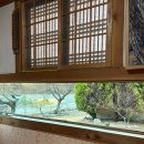 신라한정식 | [경주]경주신라반상 수리뫼/경주 한정식/경주 블루리본/경주 수리뫼 후기/내돈내산