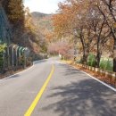 영천댐식당 이미지