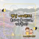 중고퍼레이드 | 평일 에버랜드 공략법, 애 둘 데리고도 가능할까? (워니 8세 + 이니 20개월 기준 현실 후기)