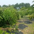 삼산면보건지소 이미지