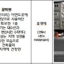 대상건축사사무소 이미지