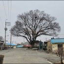 대안4리마을회관 이미지