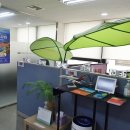 성공여행사 이미지