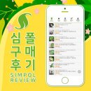 [8/4] 심폴 생생 구매 후기 🌱💚💯 (몬스테라 델리시오사 프릴골드, 아라리아 아랄리아, 동백 은내기)