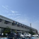 해동민박 | [경남 통영] 비진도 신상 숙소! 없는 거 빼고 다 있는 「해동민박A」 숙박 후기