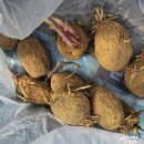 서수원농자재마트 이미지