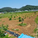 [서생면 진하리] 회야강 인근 답매매(2,050㎡)-매7억4천만원 이미지