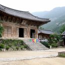 천년의비빔밥 이미지