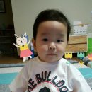 PC복댕이 이미지