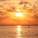 일출로1-R 이미지