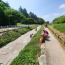 동촌유원지 녹수대 이미지