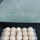 권순정농장 이미지