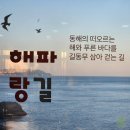 해맞이 관광안내소 | 부산가볼만한곳 추천!! 초보 트레킹코스 해파랑길, 노을맛집 광안대교야경 명소 이기대해안산책로 후기