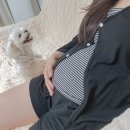 오즈의료기기 | 임신후기 조기진통, 전치태반, 가진통으로 대구 대학병원 고위험산모센터 입원비 (조기진통 입원, 31...