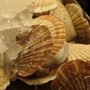 암스트롱요양병원 이미지