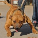 메이데이 이미지