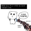 라라약국 | [다낭여행] 다낭라라 다녀온 후기🪽🪽
